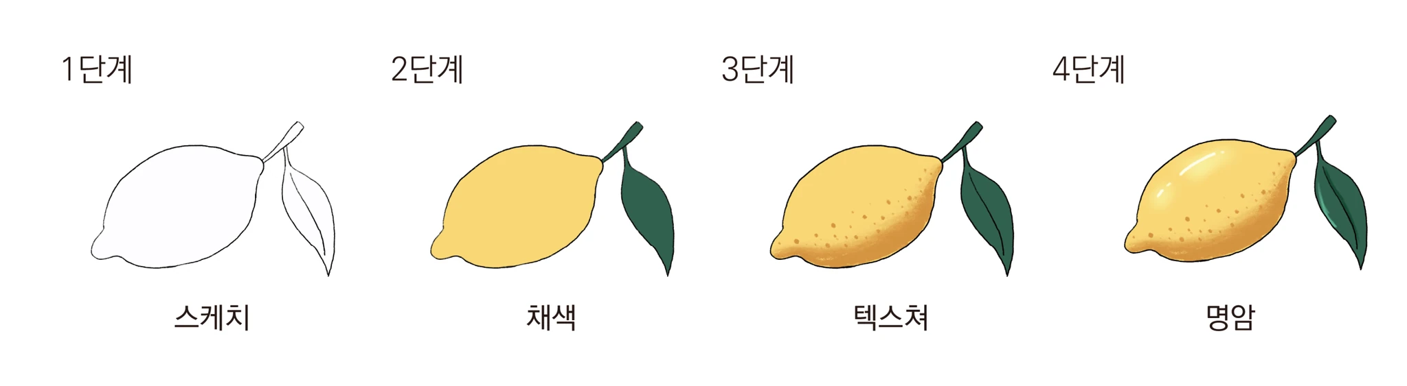스케치, 채색, 텍스쳐, 명암의 4단계를 거치며 점점 완성되어 가는 레몬 그리기 과정
